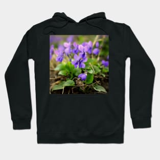 Violets Hoodie